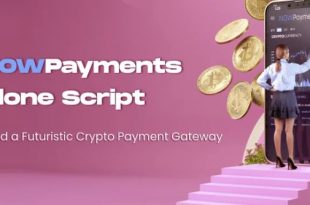 NOWPayments Clone Script – A Futuristic Crypto Payment Gateway Solution