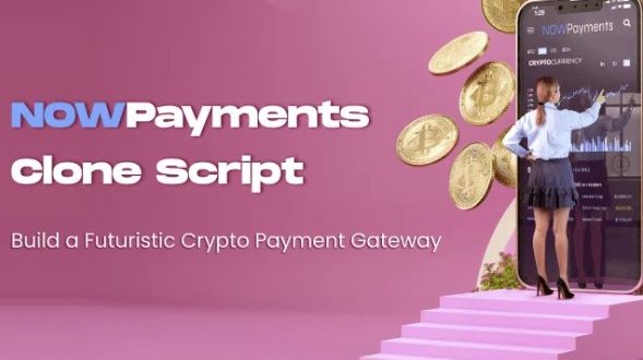NOWPayments Clone Script – A Futuristic Crypto Payment Gateway Solution