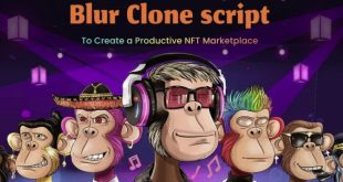 Blur Clone Script – Create Your NFT Aggregator like Blur