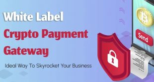 Script Crypto Payment Gateway