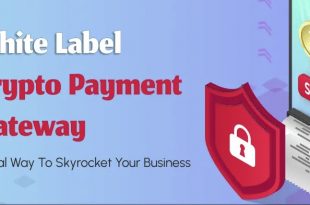 Script Crypto Payment Gateway