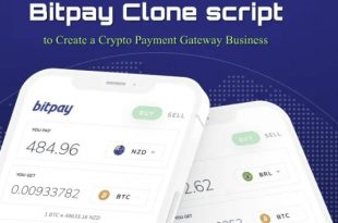 Bitpay Clone Script to Build a Secure Crypto Payment Gateway
