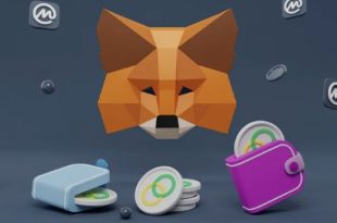 MetaMask Wallet Clone Script