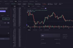 Script Clone Decentralized Exchange